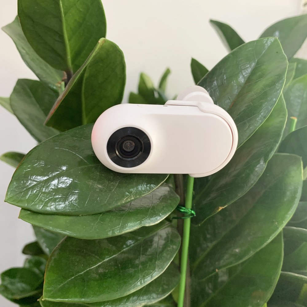 High Quality 0.96 Inch New 1080p Sport Action Camera Cycle Video Recording Fisheye Lens Security Camera With Collar for Cat Dog