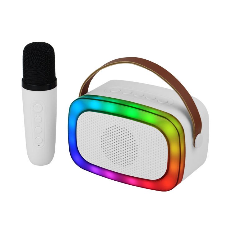 Portable Karaoke Speaker with LED Lights Wireless Bluetooth Speaker with Microphone