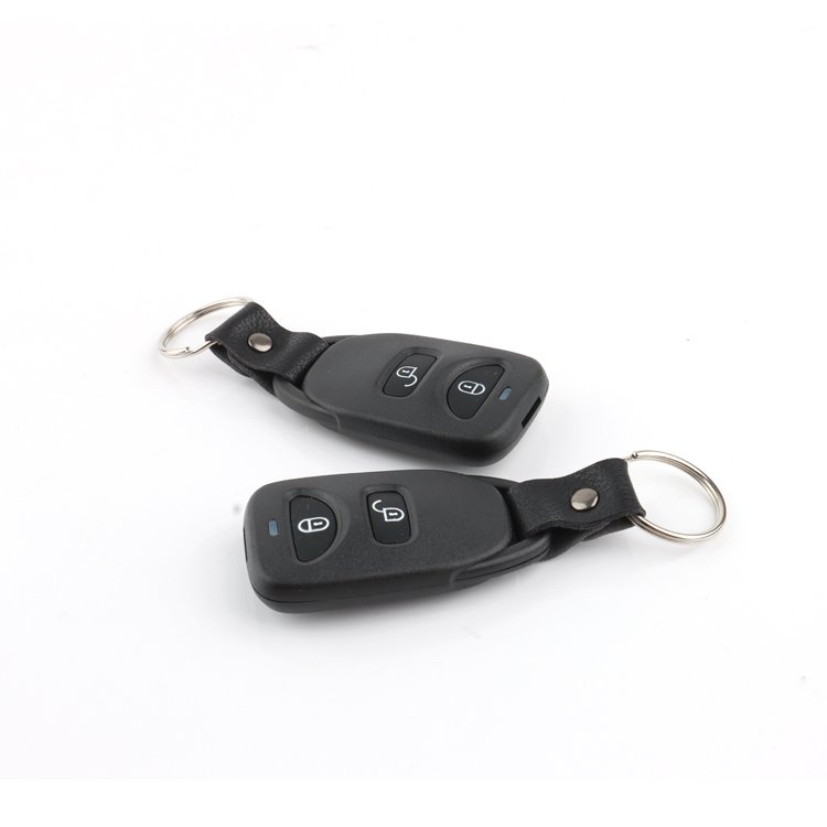 Remote Start System Keyless Entry Door Lock System