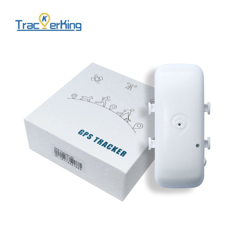 Real Time Tracking Pet GPS Tracking 4G+2G Cart1 Collar Locator Tracking Device Following the Pet Trail