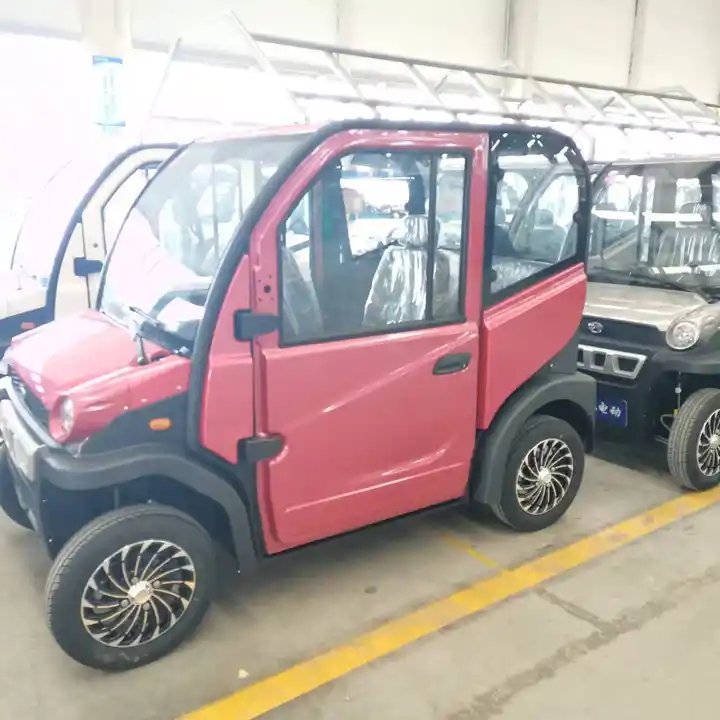 1000W Four Wheel Electric Transport Vehicle Made in China
