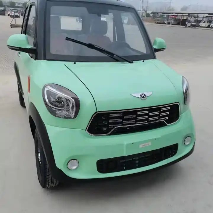 1000W Four Wheel Electric Transport Vehicle Made in China