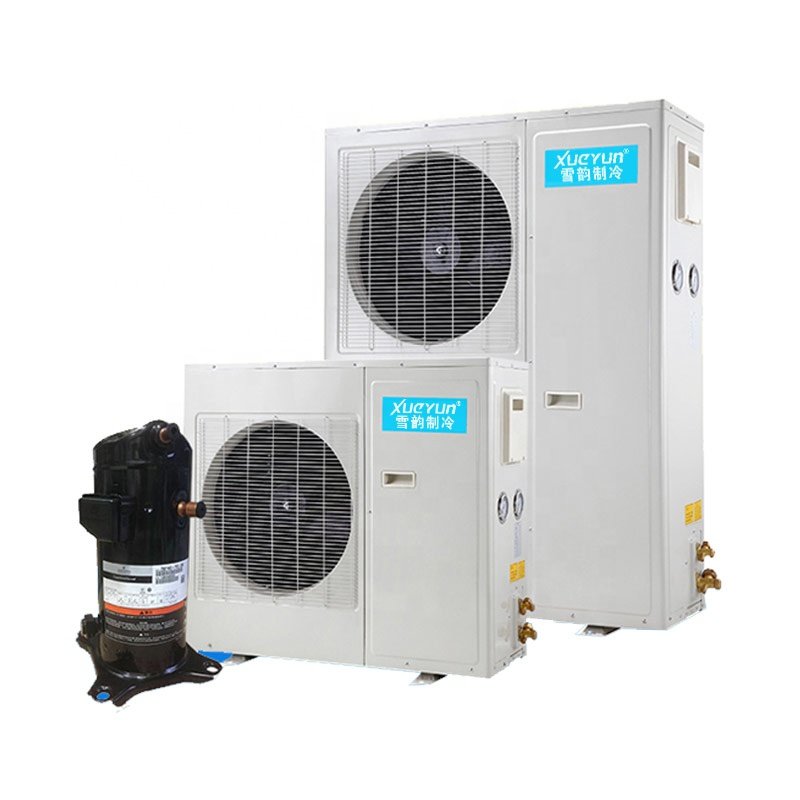2hp 3hp Small Refrigerator air Cooling Condenser Refrigeration Unit for Cold Room