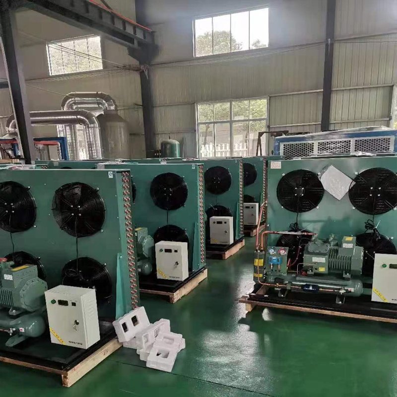 4pcs-15.2(y) 4pcs-10.2(y) 4tcs-8.2(y) 12hp R410a Air Cooled Cold Storage Refrigeration Unit Blast Frezeer Condensing Units