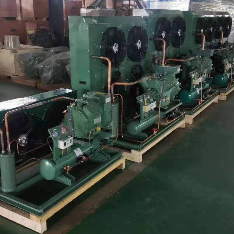 4pcs-15.2(y) 4pcs-10.2(y) 4tcs-8.2(y) 12hp R410a Air Cooled Cold Storage Refrigeration Unit Blast Frezeer Condensing Units