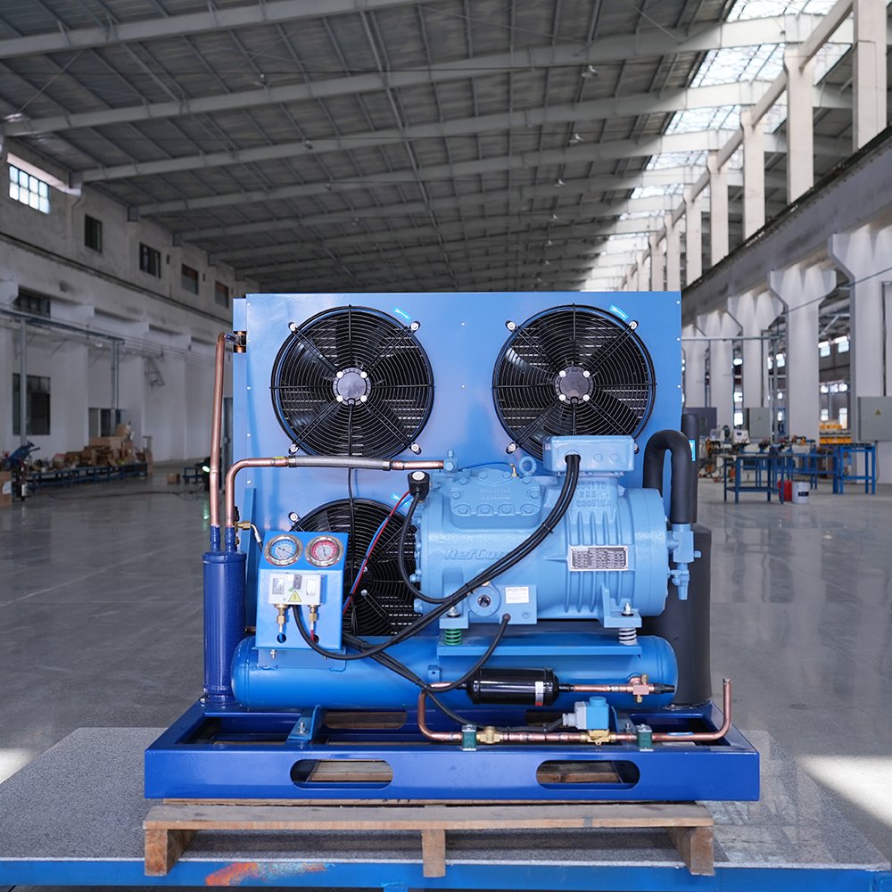 Factory Price 3hp 5hp 6hp 10hp Air Cooled Compressor Condensing Unit for Cooling System Refrigeration