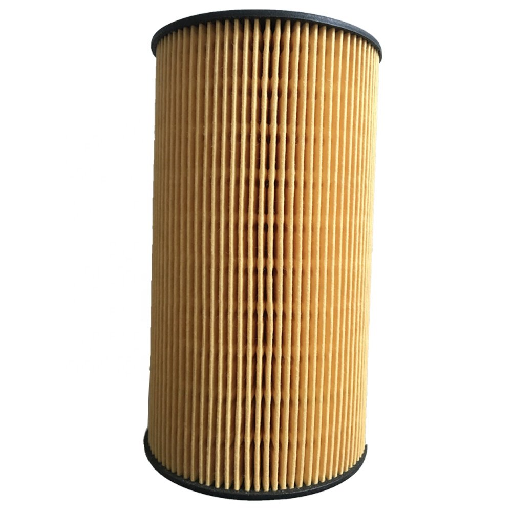 Customized Truck Wholesale Auto Parts Fuel Filter 611600080198 611600070113 611600080113 1001362240 6116000801 Use for Weichai