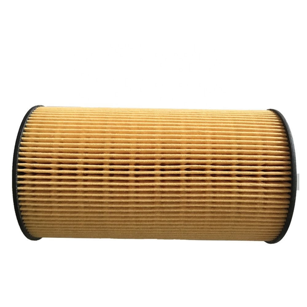 Customized Truck Wholesale Auto Parts Fuel Filter 611600080198 611600070113 611600080113 1001362240 6116000801 Use for Weichai