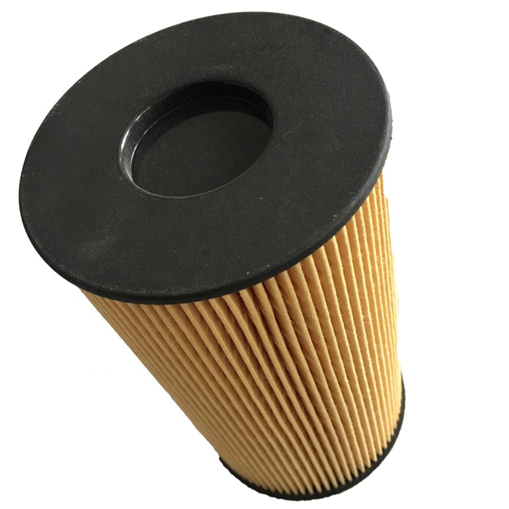 Customized Truck Wholesale Auto Parts Fuel Filter 611600080198 611600070113 611600080113 1001362240 6116000801 Use for Weichai