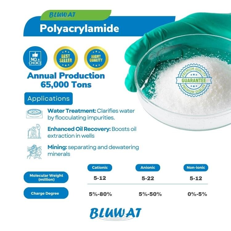 Bluwat Chemicals Blufloc Polyacrylamide Anionic PAM Sewage Treatment Chemical