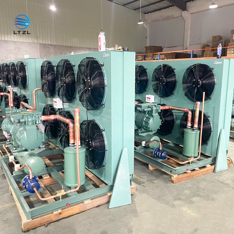 Cold Storage High Performance Two-stage Two-stage Bitzer Compressor Air-cooled Condensing Unit