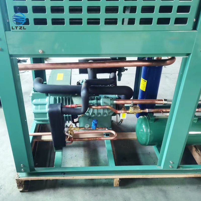 Cold Storage High Performance Two-stage Two-stage Bitzer Compressor Air-cooled Condensing Unit