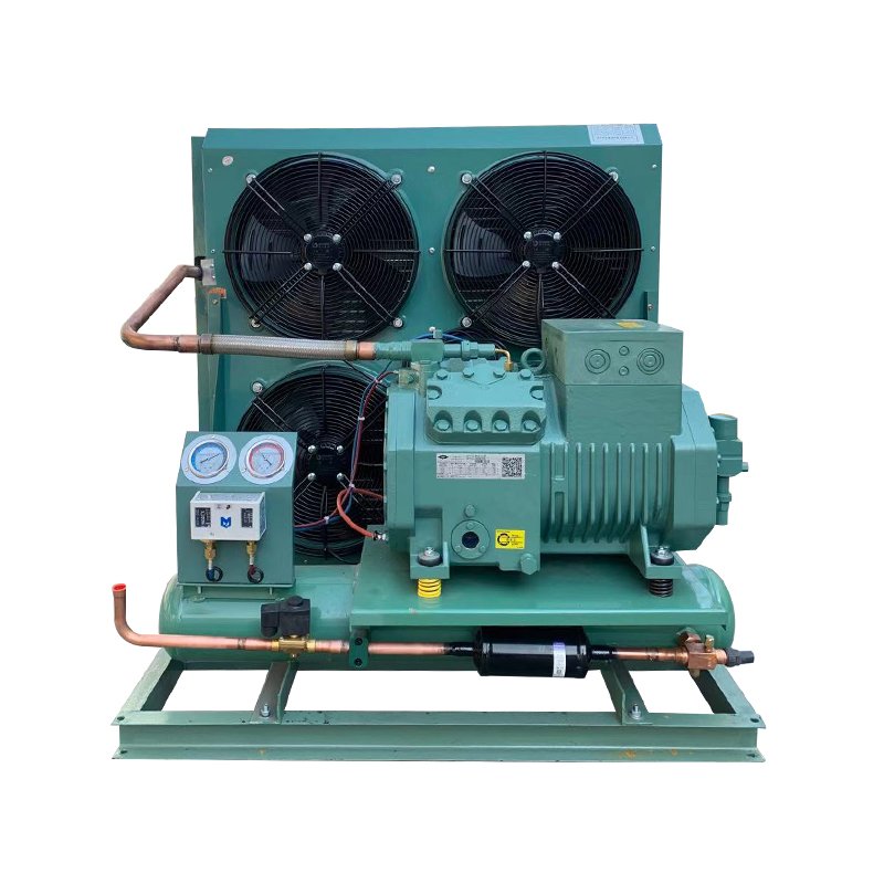 Cold Room Condensing Unit Compressor Condensing Unit Low Temp Refrigeration Unit for Refrigerated Room