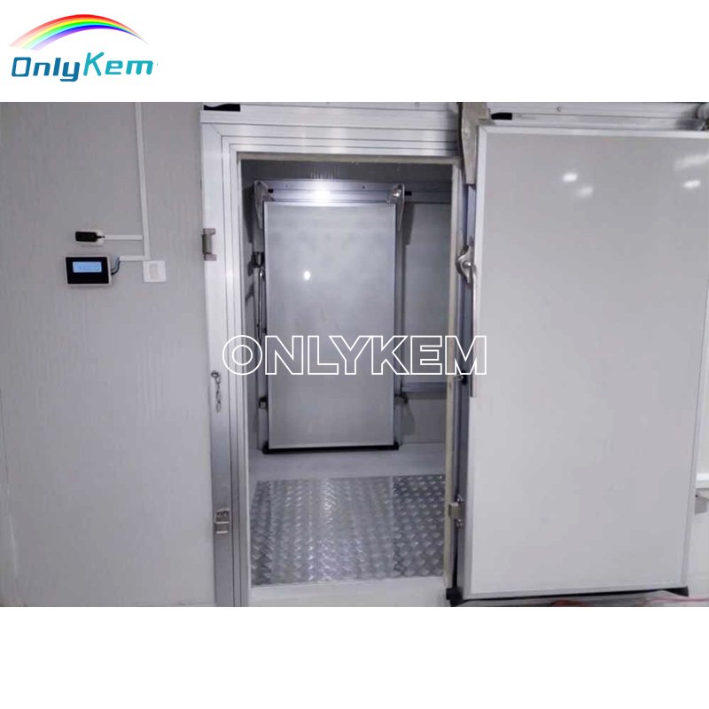 Freezer Room Frozen Meat Seafood Efficient Condensing Unit Cold Camera for Long-Term Storage
