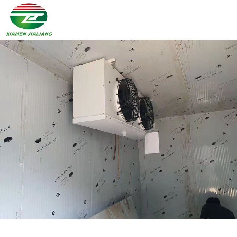 Cold Room in Tanzania Mobile Cool Room Beef Deep Freezer Cold Storage Room for Sale