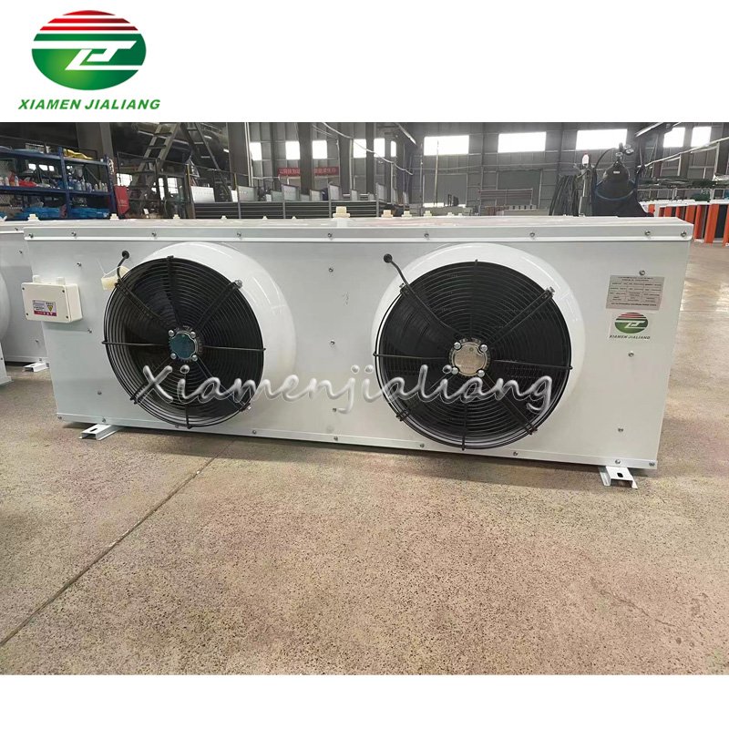 Cold Room in Tanzania Mobile Cool Room Beef Deep Freezer Cold Storage Room for Sale