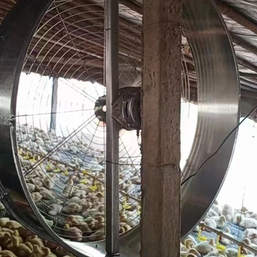 Factory Direct Sale 32'' Commercial Fans High Velocity Metal Direct Drive Blower Drum Fan for Poultry Farm Workshop Warehouse