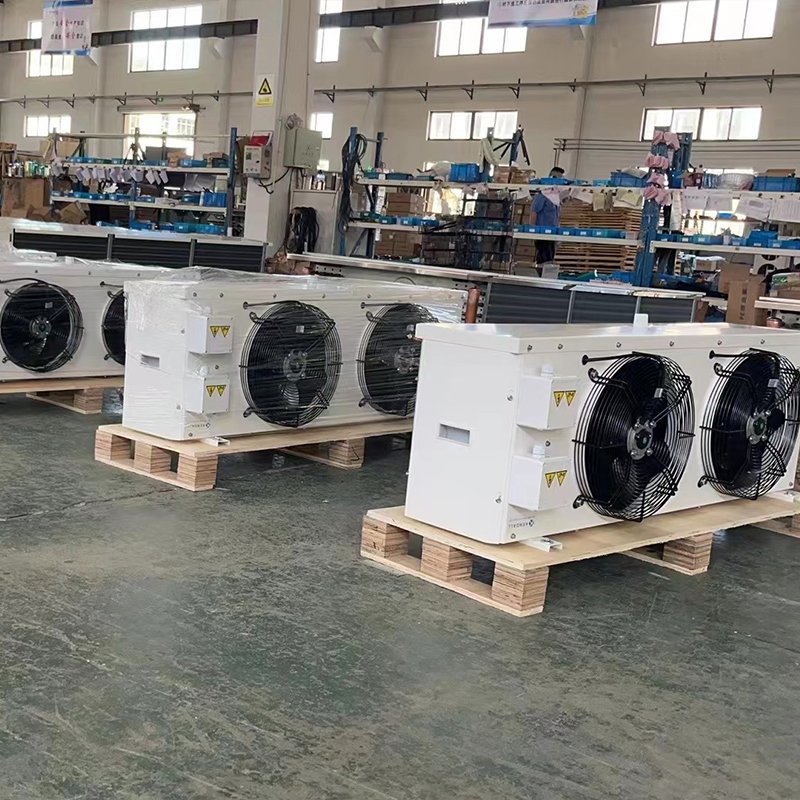 4Hp 5Hp Low Temperature Condensing Unit for Freezer Cold Room Outdoor Condenser and Coldroom Evaporator Units