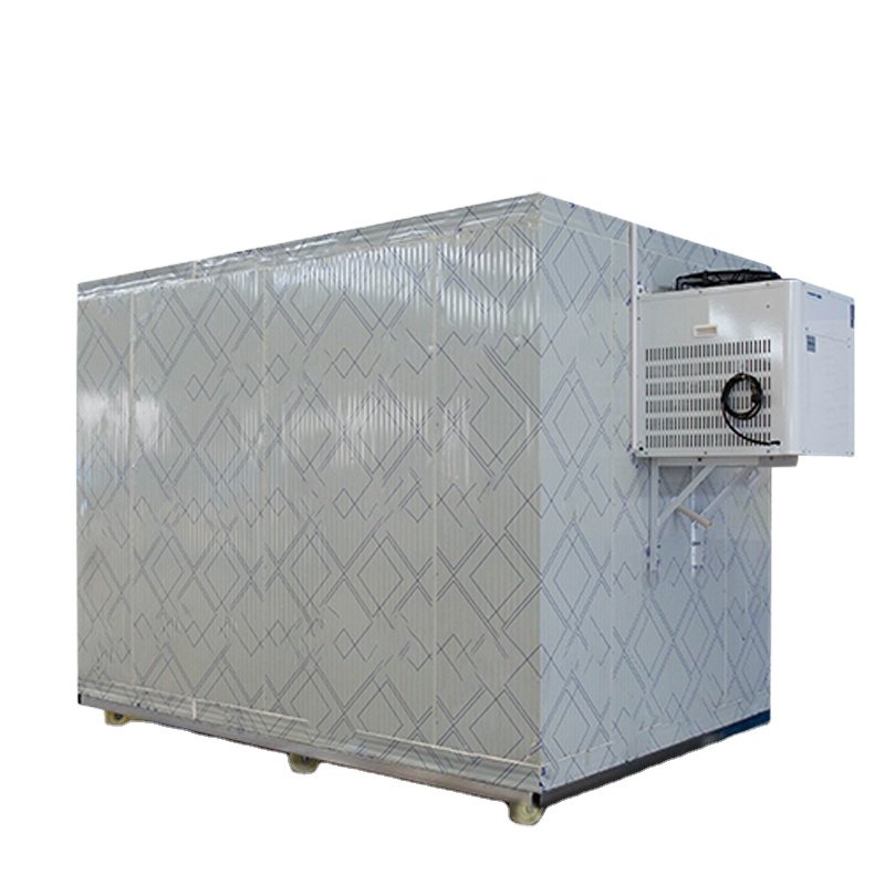 Commercial Walk-In Cooler Cold Storage Room with Door for Cold Storage Needs