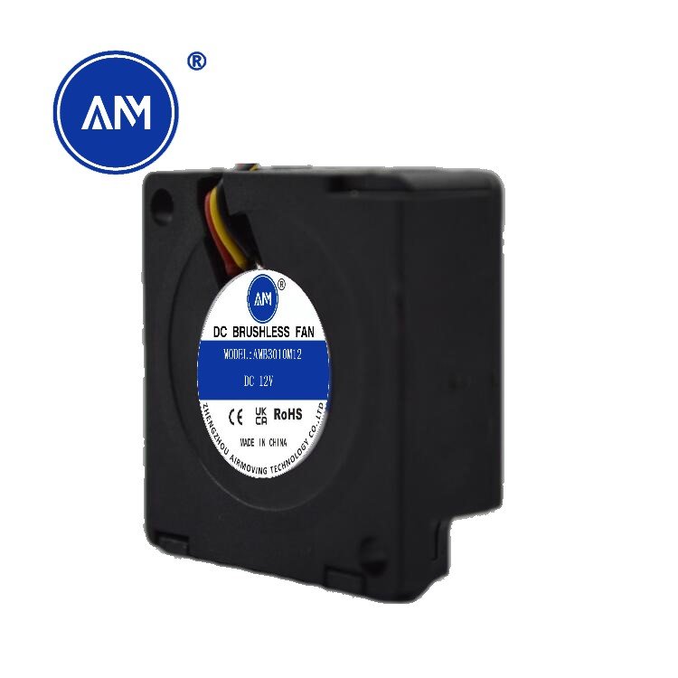 Lowest Price High Quality Mini Brushless Hydraulic Bearing DC Blower 30*30*10mm Cooling Fans 5V