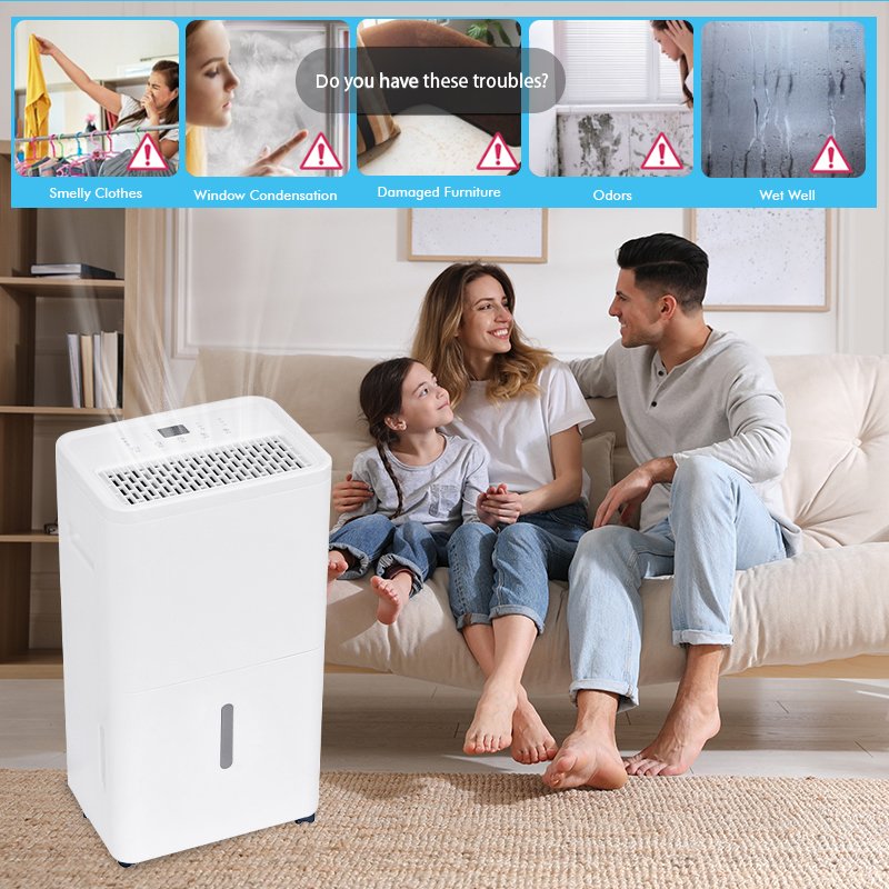 Smart 40L/D Electric Compressor Dehumidifier Touch Screen Control R290 Refrigeration Compressor Refrigerant Dehumidifier