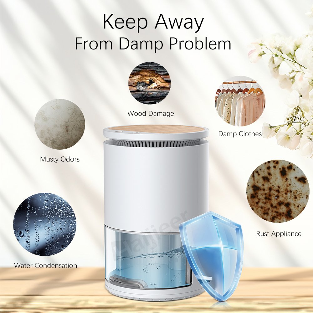 Indoor Semiconductor Portable Electric Peltier Condenser Air Deumidificatore Room Moisture Absorber Home Dehumidifier