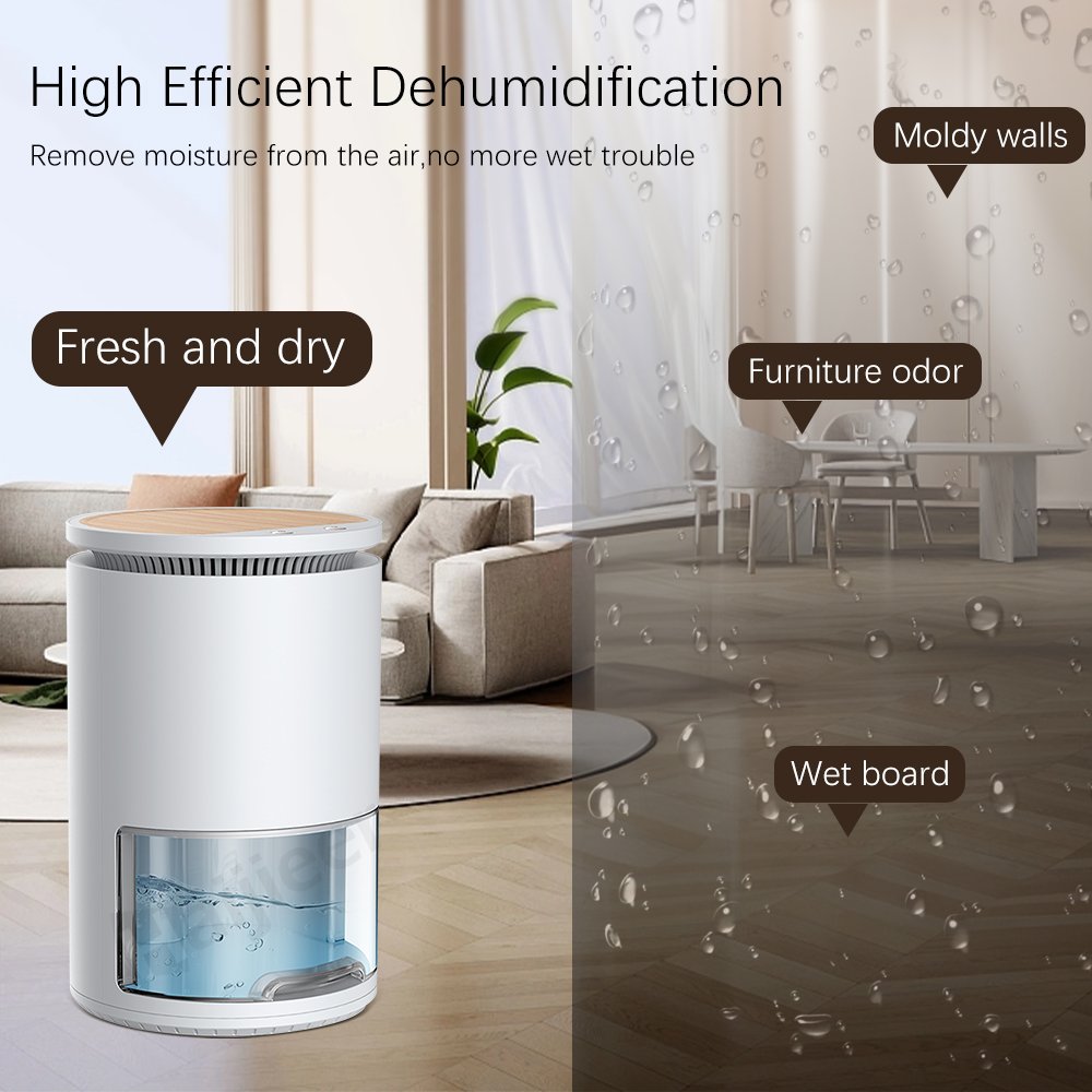 Indoor Semiconductor Portable Electric Peltier Condenser Air Deumidificatore Room Moisture Absorber Home Dehumidifier