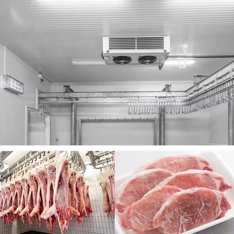 Industrial Walk in Freezer Cooler Cold Room Storage Refrigerator Equipment Condensing Unit Mobile Cold Room for Freezer