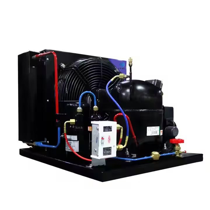 1/3 HP air Cooled Dry Condenser 220v 115v air Cooled Micro Condensing Unit R404 R290