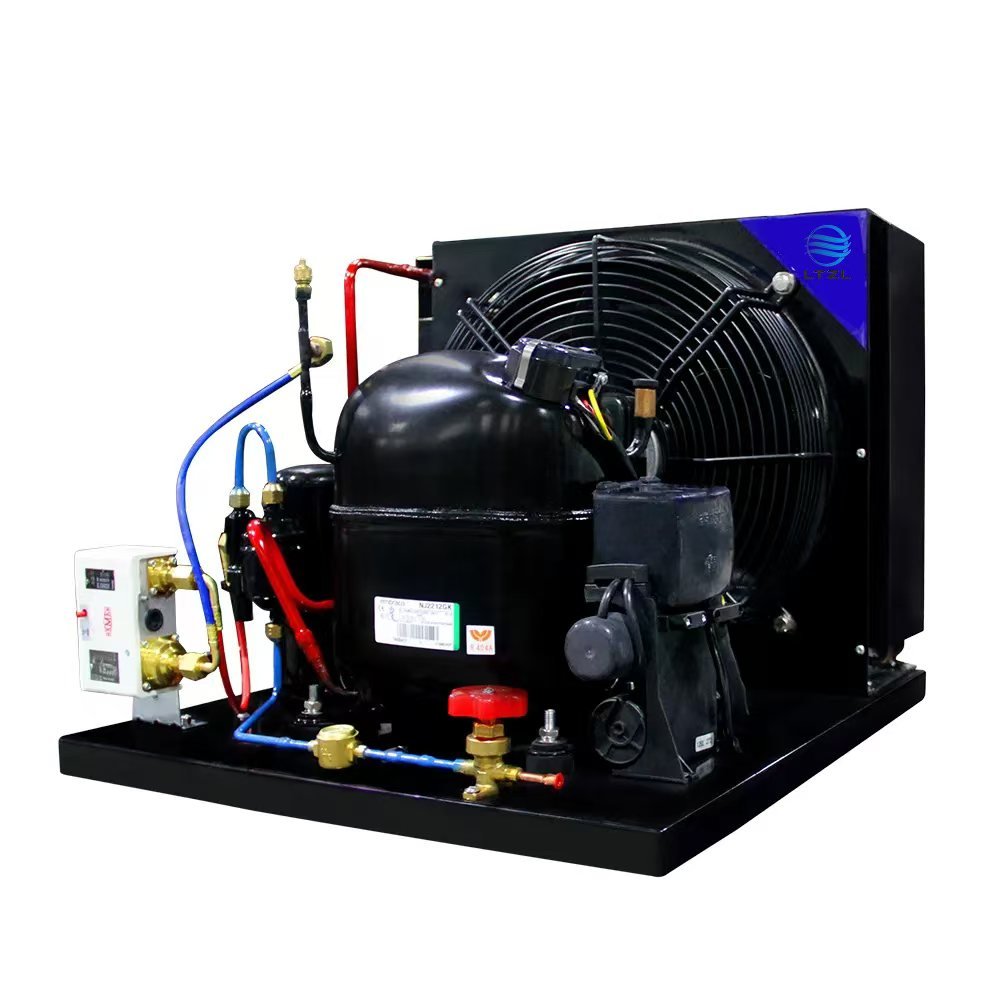 1/3 HP air Cooled Dry Condenser 220v 115v air Cooled Micro Condensing Unit R404 R290