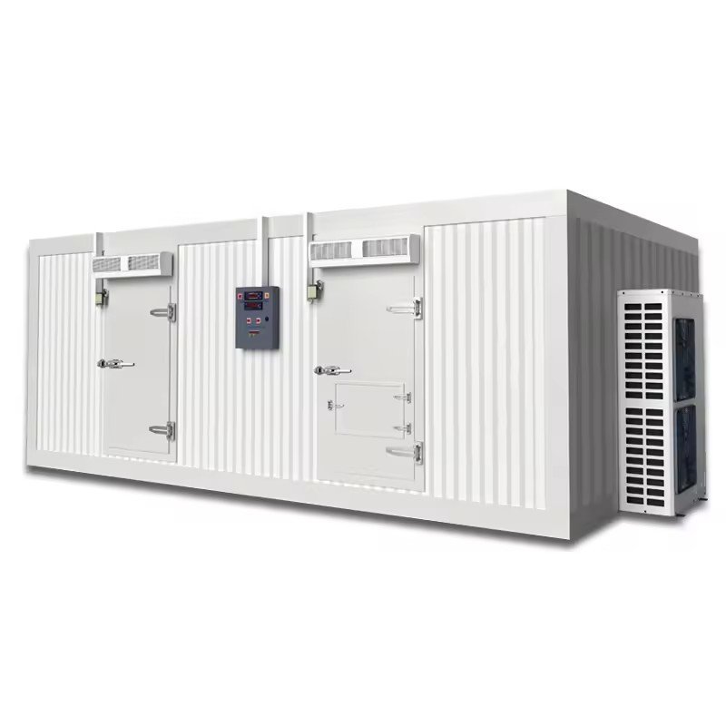 Cold Storage Cold Room Container Manufacturer Freezer Condensing Unit Blast Freezer Machine Chambre Froide Poisson