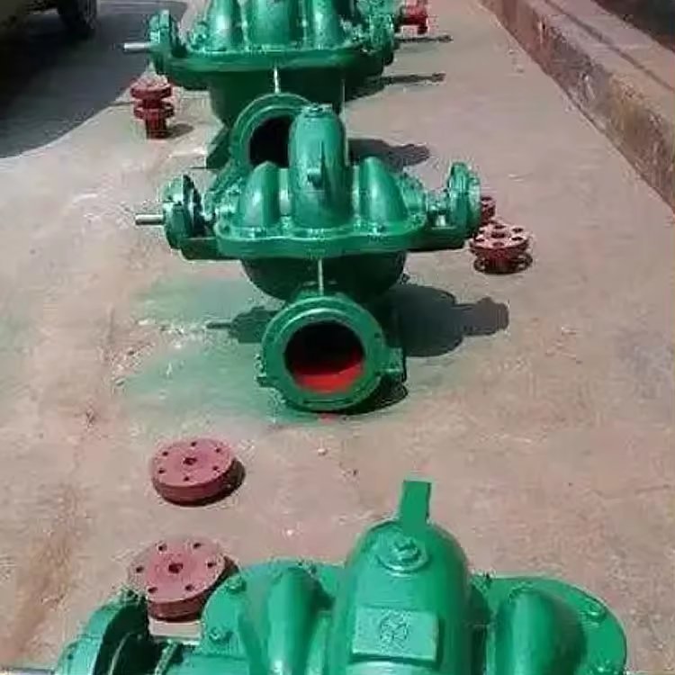 Horizontal Mine Water Pump Double Suction Industrial Pump Slurry Pump