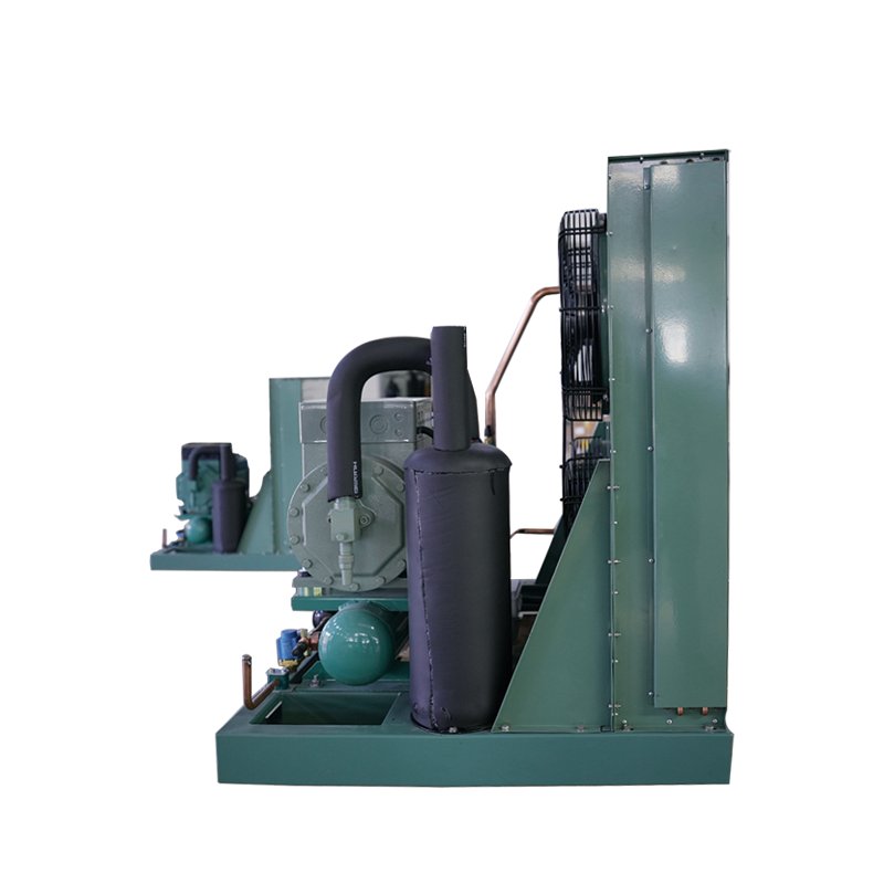 Efficient Cold Room Factory Shop Bitzer Inverter Condensing Unit Semi Hermetic Refrigeration Compressors Core Motor