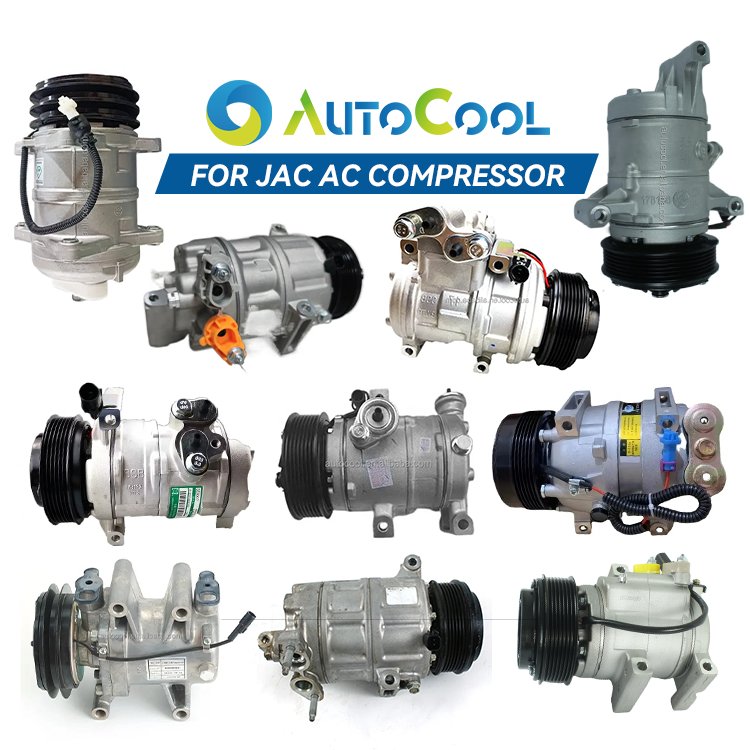 Autocool Car Conditioning System Parts 8103010R0441 Air Compressor for Jac Sunray