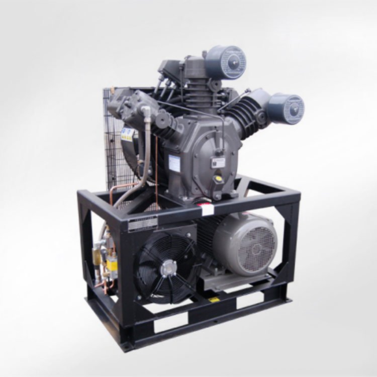 Bottle Making Machine Tenyue High Pressure Electrical Car Portable air Condition Compressor Pump 12v 500 Liter air Compressor m