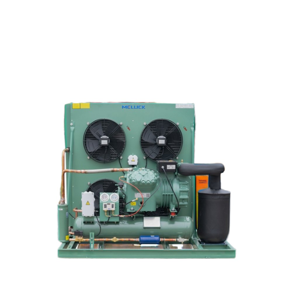 New Bitzer Compressor Air Cooled Condensing Unit for Low Temperature Cold Room Refrigeration for Restaurant Industries
