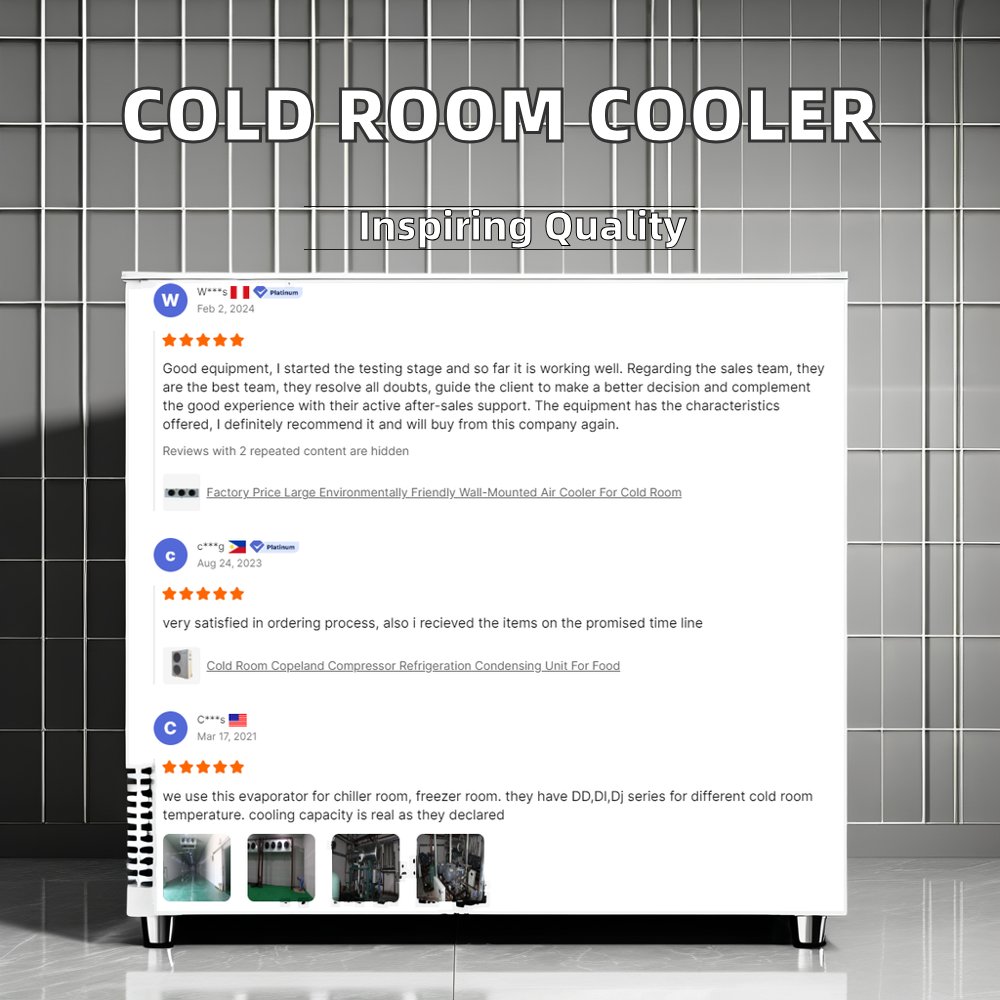 New Bitzer Compressor Air Cooled Condensing Unit for Low Temperature Cold Room Refrigeration for Restaurant Industries