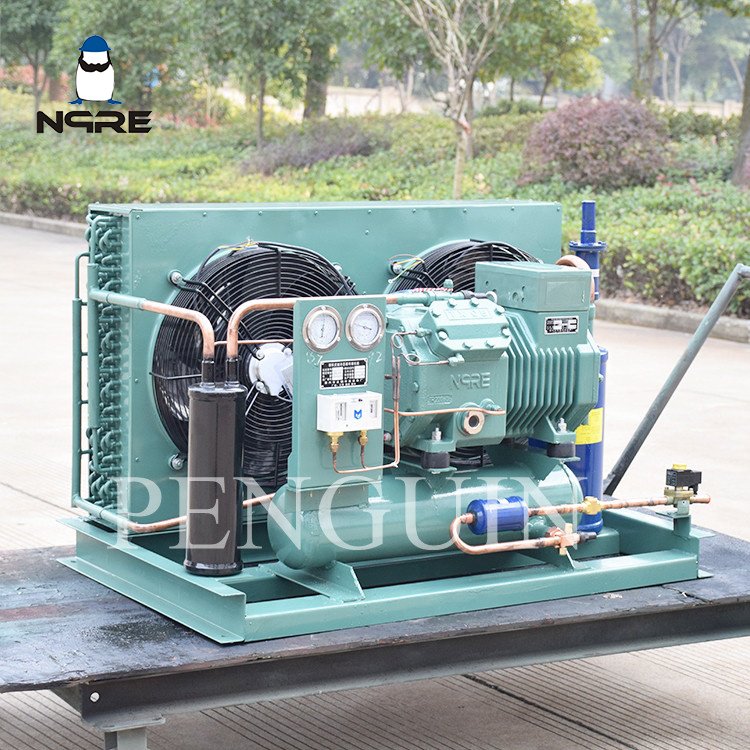 3HP 5HP 12HP 20HP 40HP Cold Room Refrigeration Compressor Unit Air Cooling Condensing Unit