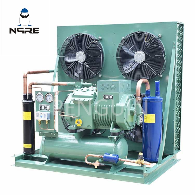 3HP 5HP 12HP 20HP 40HP Cold Room Refrigeration Compressor Unit Air Cooling Condensing Unit