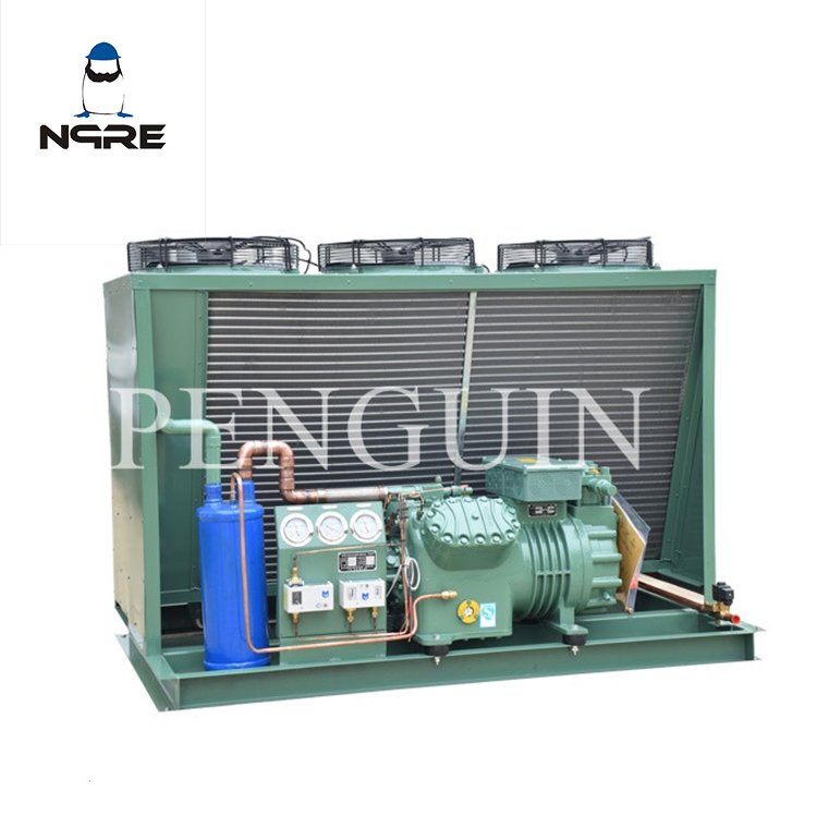 3HP 5HP 12HP 20HP 40HP Cold Room Refrigeration Compressor Unit Air Cooling Condensing Unit