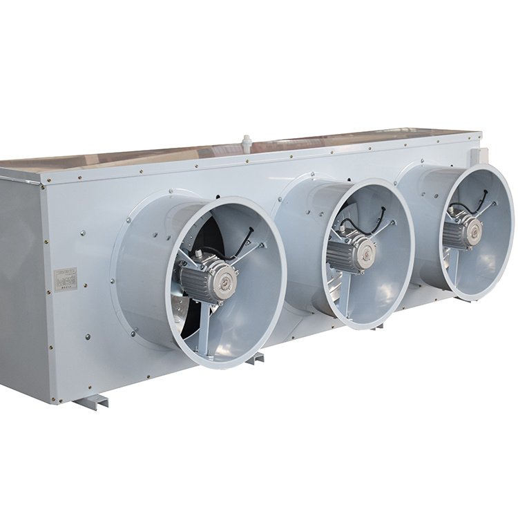 Factory Price Repurchase Rate Is High Condenser Cold Storage Warehouse Air Curtain Cold Storage