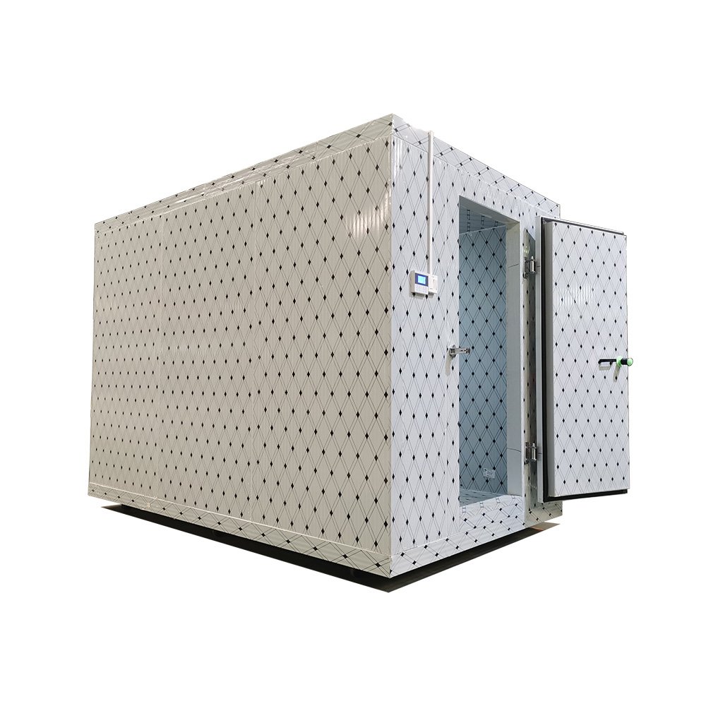Customized Mini Refrigerator and Freezers Home Storage Rooms Room Cooler Industrial Commercial Freezer