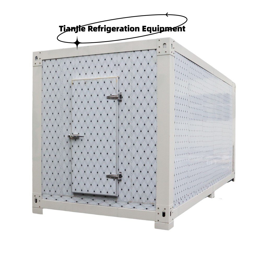 Customized Mini Refrigerator and Freezers Home Storage Rooms Room Cooler Industrial Commercial Freezer