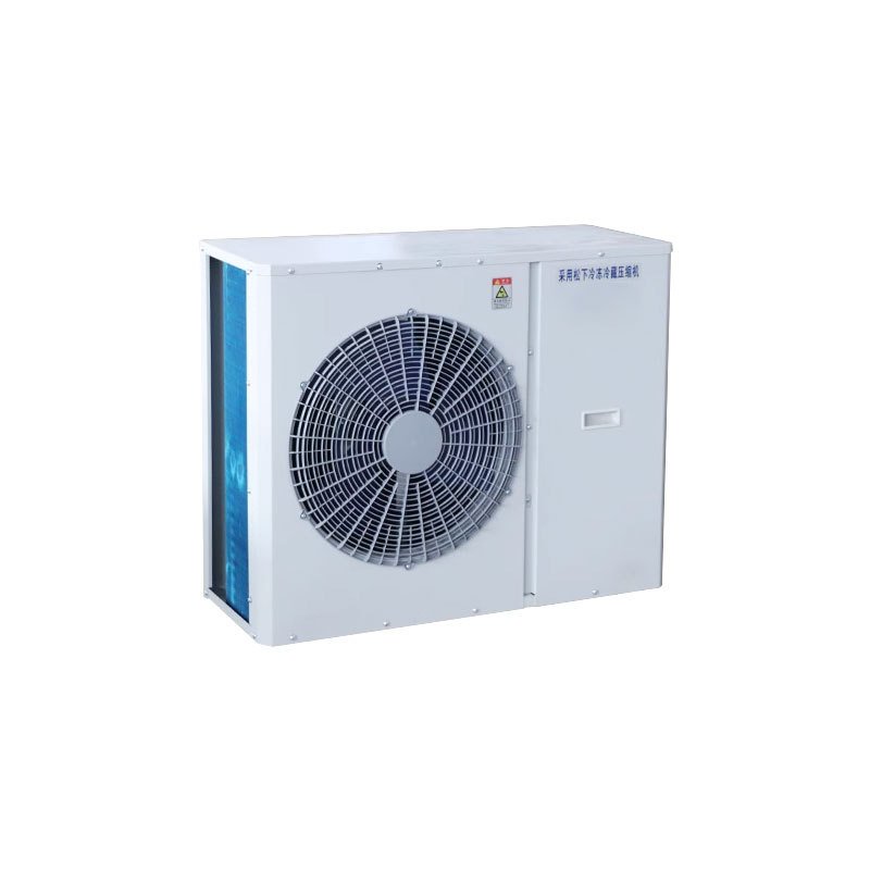 Energy Saving Solar Panel Power DC Inverter Outdoor l Type Refrigeration Condensing Unit for Cold Room Low Price China Made