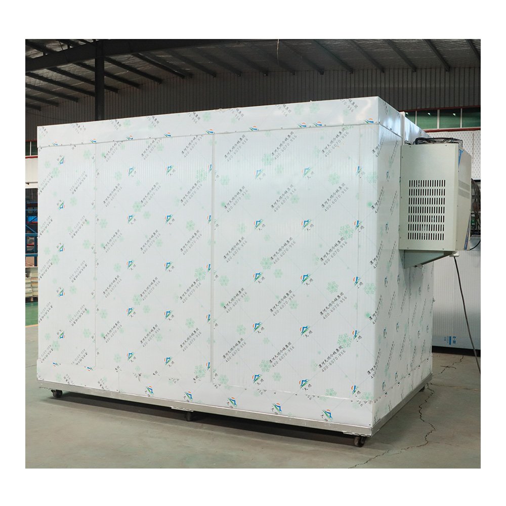 Customized Freezing Easy Disassembly Cold Room and Freezers Freezing Room Cool Room Panels Refrigeration Unit for Sale