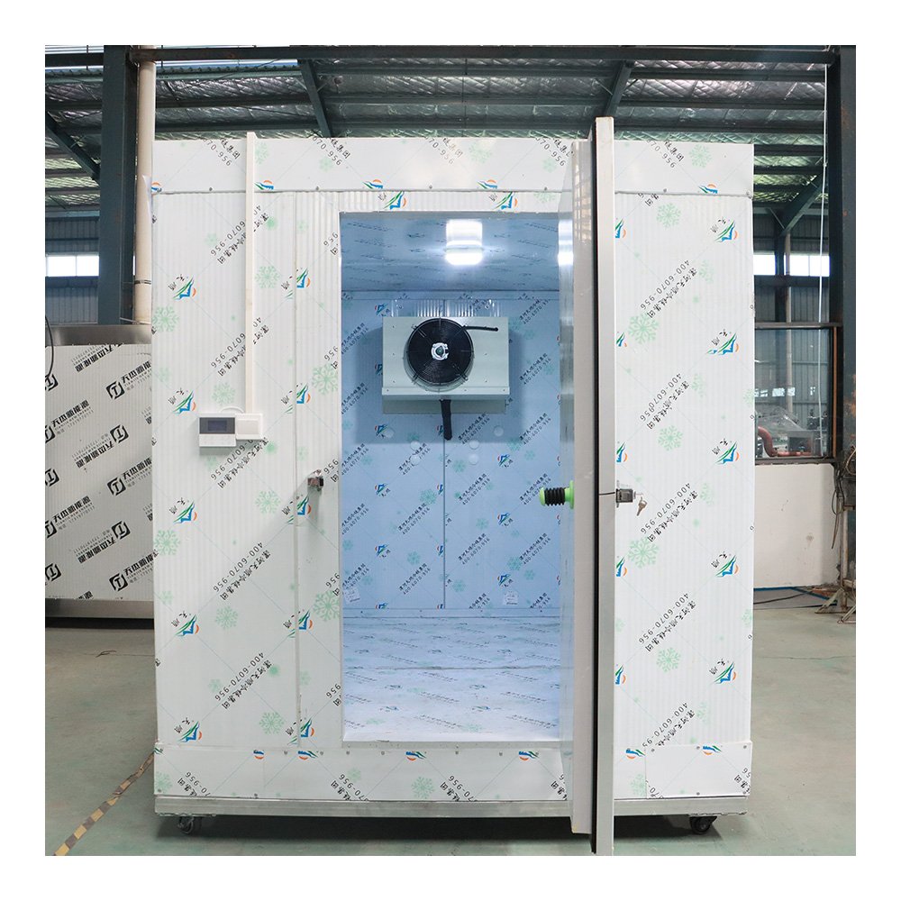 Customized Freezing Easy Disassembly Cold Room and Freezers Freezing Room Cool Room Panels Refrigeration Unit for Sale