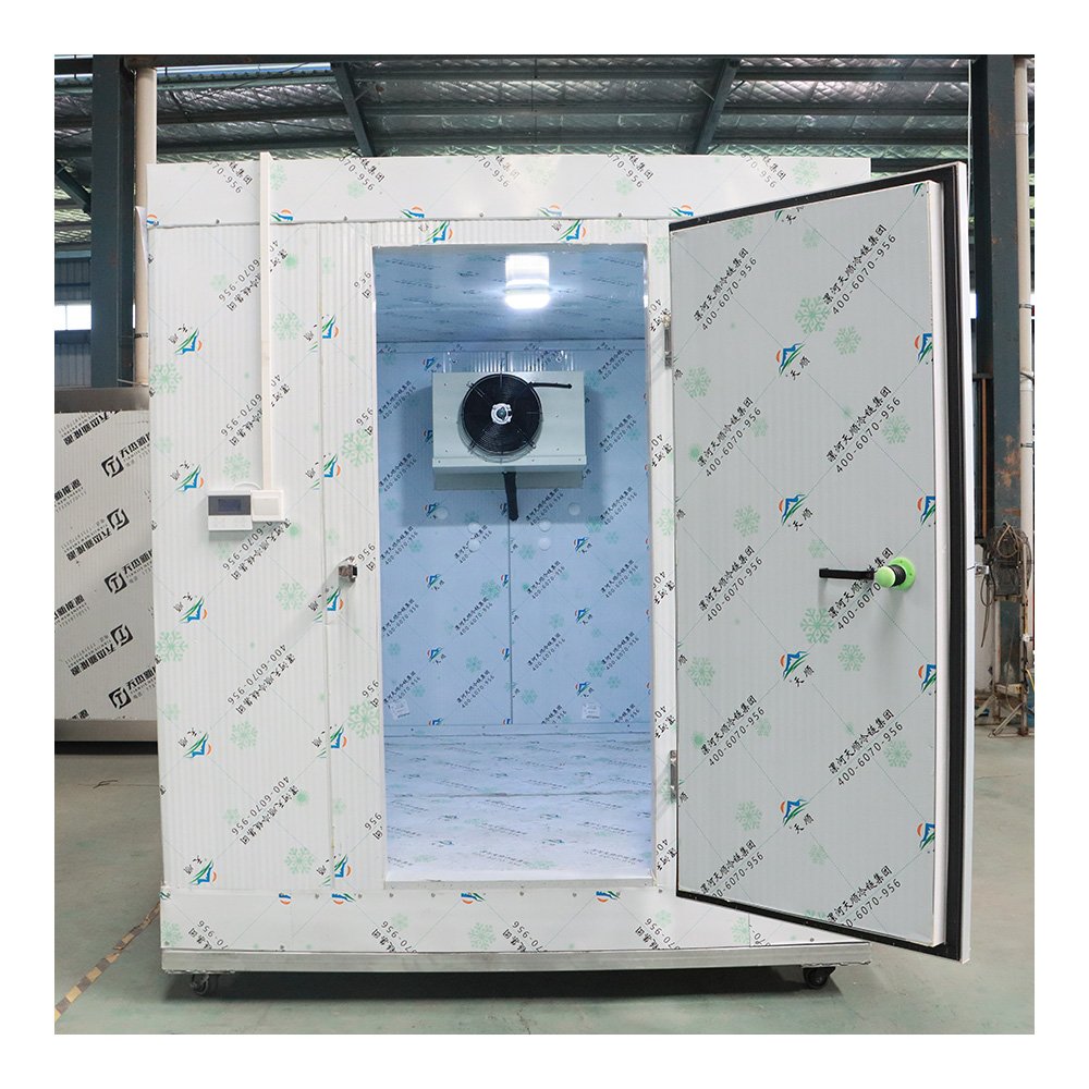 Customized Freezing Easy Disassembly Cold Room and Freezers Freezing Room Cool Room Panels Refrigeration Unit for Sale