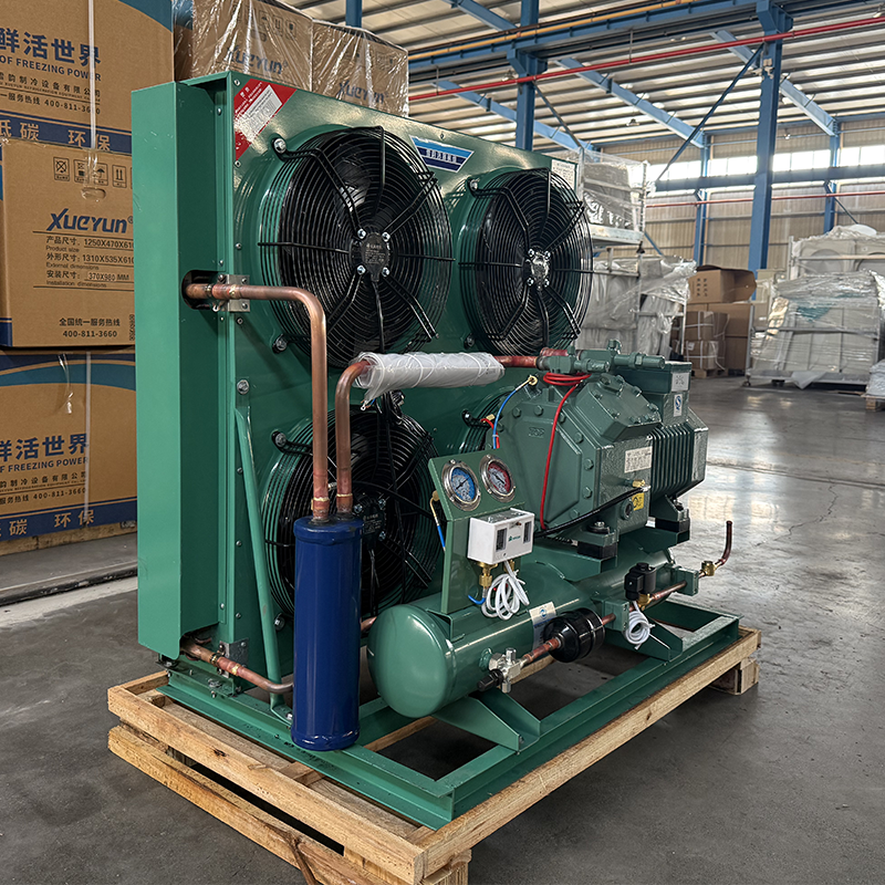 30HP Bitzer High Quality Semi-Hermetic Refrigeration Units Cold Storage Units Cooler Condensing Units Cold Air Condenser