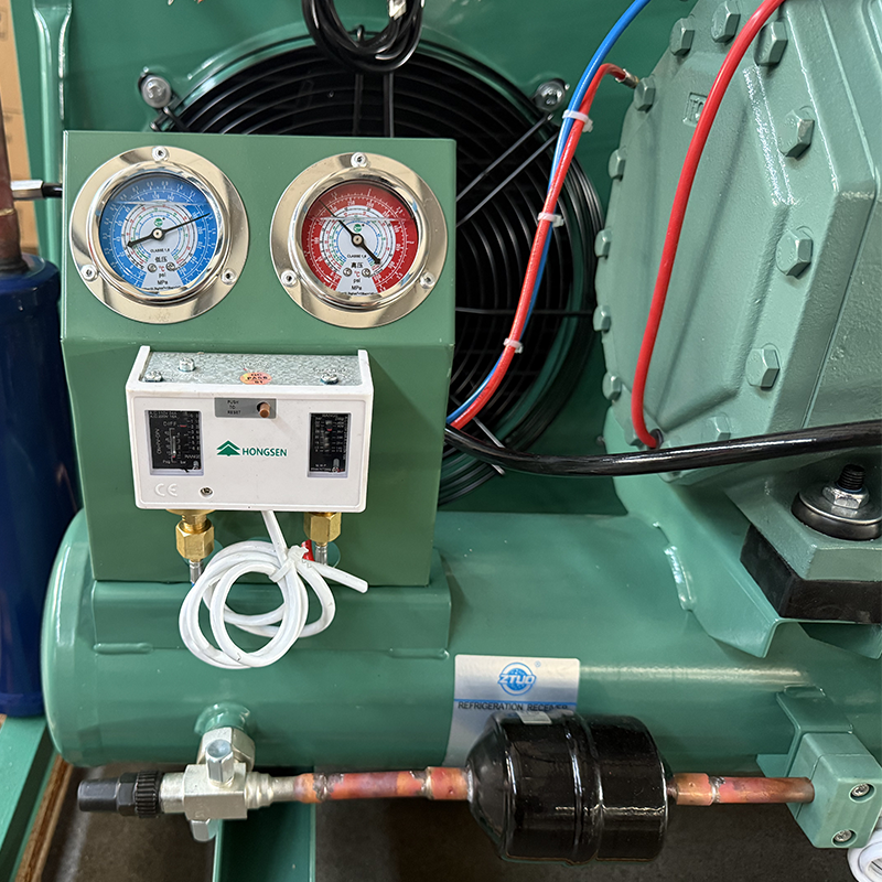 30HP Bitzer High Quality Semi-Hermetic Refrigeration Units Cold Storage Units Cooler Condensing Units Cold Air Condenser