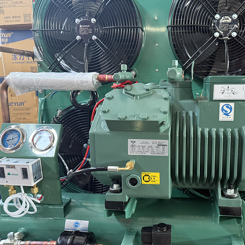 30HP Bitzer High Quality Semi-Hermetic Refrigeration Units Cold Storage Units Cooler Condensing Units Cold Air Condenser